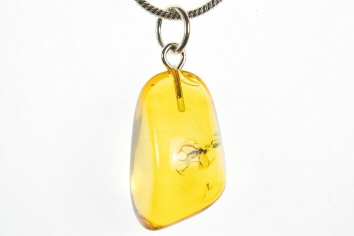 Polished Baltic Amber Pendant (Necklace) - Wasp and Fly! #311027